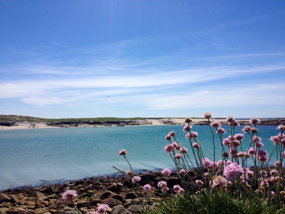 Dolphin Beach House Hotel Clifden Kültér fotó