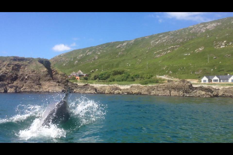 Dolphin Beach House Hotel Clifden Kültér fotó